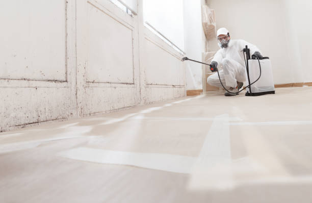 24/7 Emergency Black Mold Remediation experts in Levittown, PA