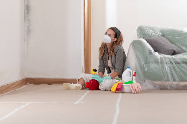 Reliable Black Mold Remediation contractor in Levittown, PA by Car Mold Remediation