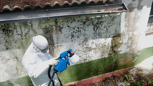 Top rated local Black Mold Remediation specialists in Levittown, PA